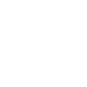Brand 2 (The Gem)