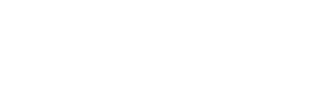 Boho Rev v2
